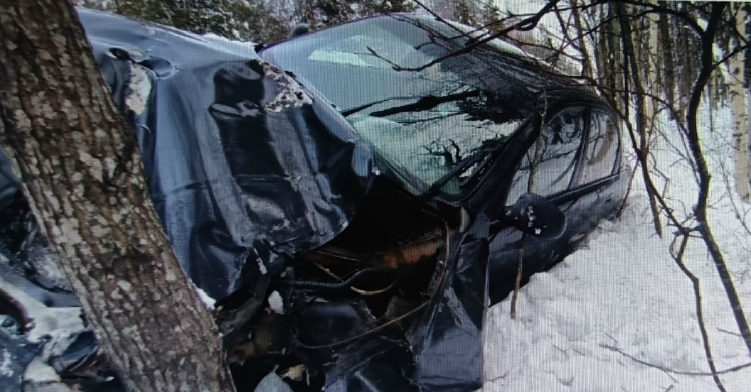 В ГАИ рассказали, почему автоледи протаранила дерево в Муезерском районе