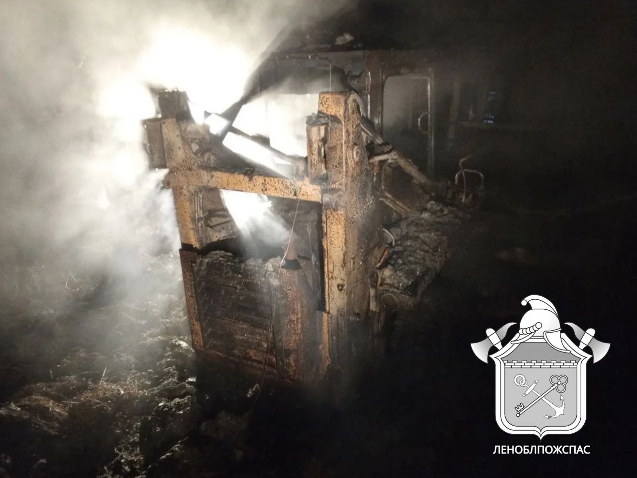 Десятки животных погибли на загоревшейся ферме рядом с Карелией