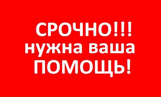 Власти Суоярвского округа просят помочь местной жительнице, оставшейся после пожара без жилья и вещей