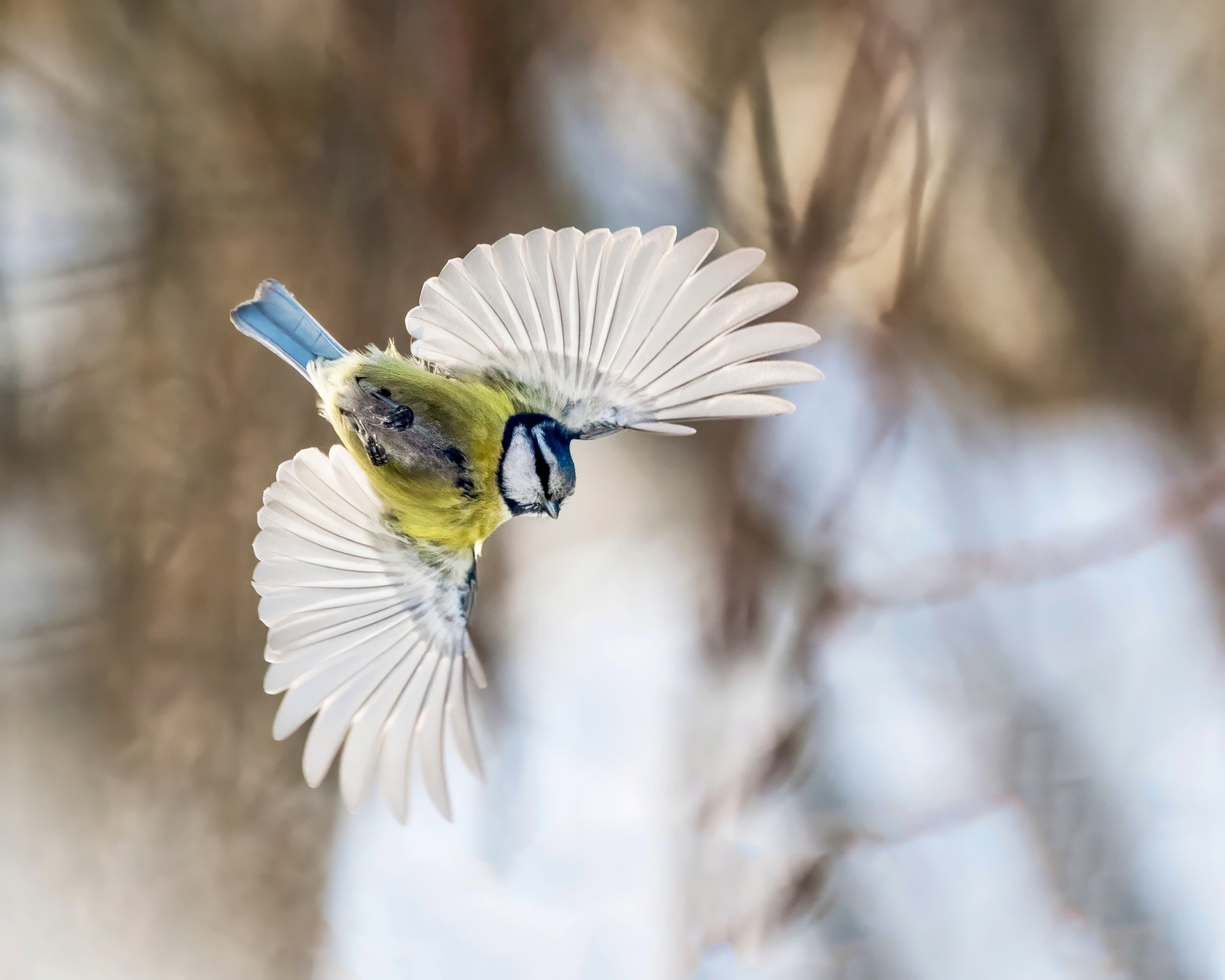 Синоптики рассказали о погоде в Карелии на четверг