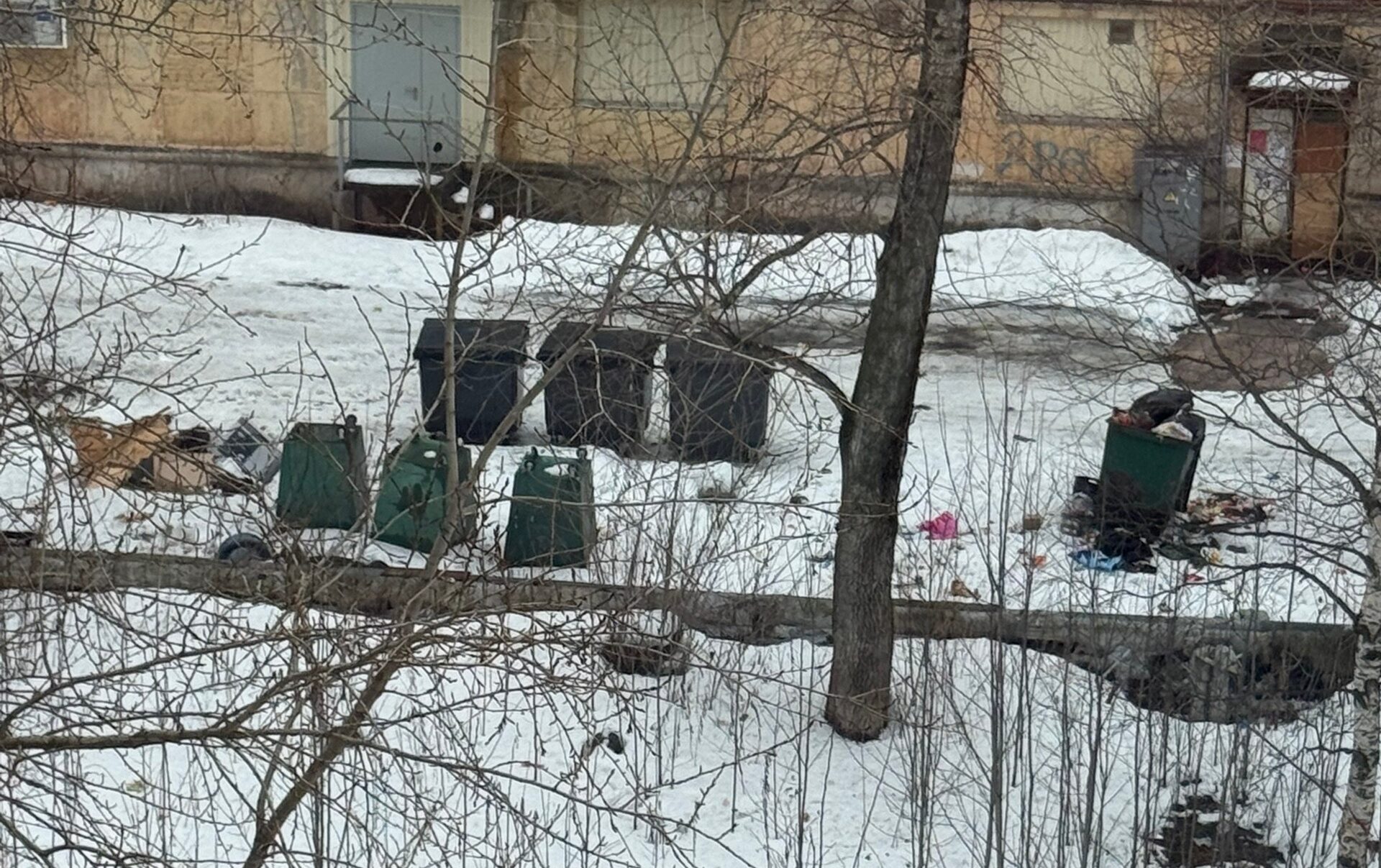 Жители Сегежи пожаловались на запущенную площадку для мусора сети «Пятерочка»