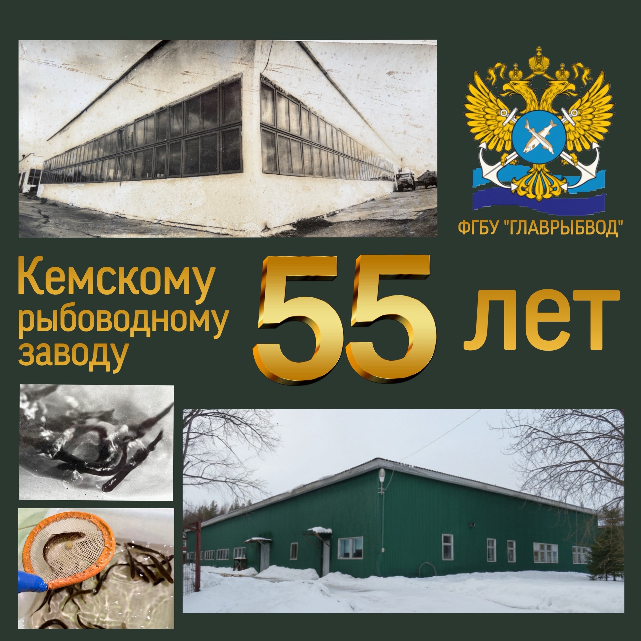 Кемский рыбоводный завод отмечает 55-летний юбилей