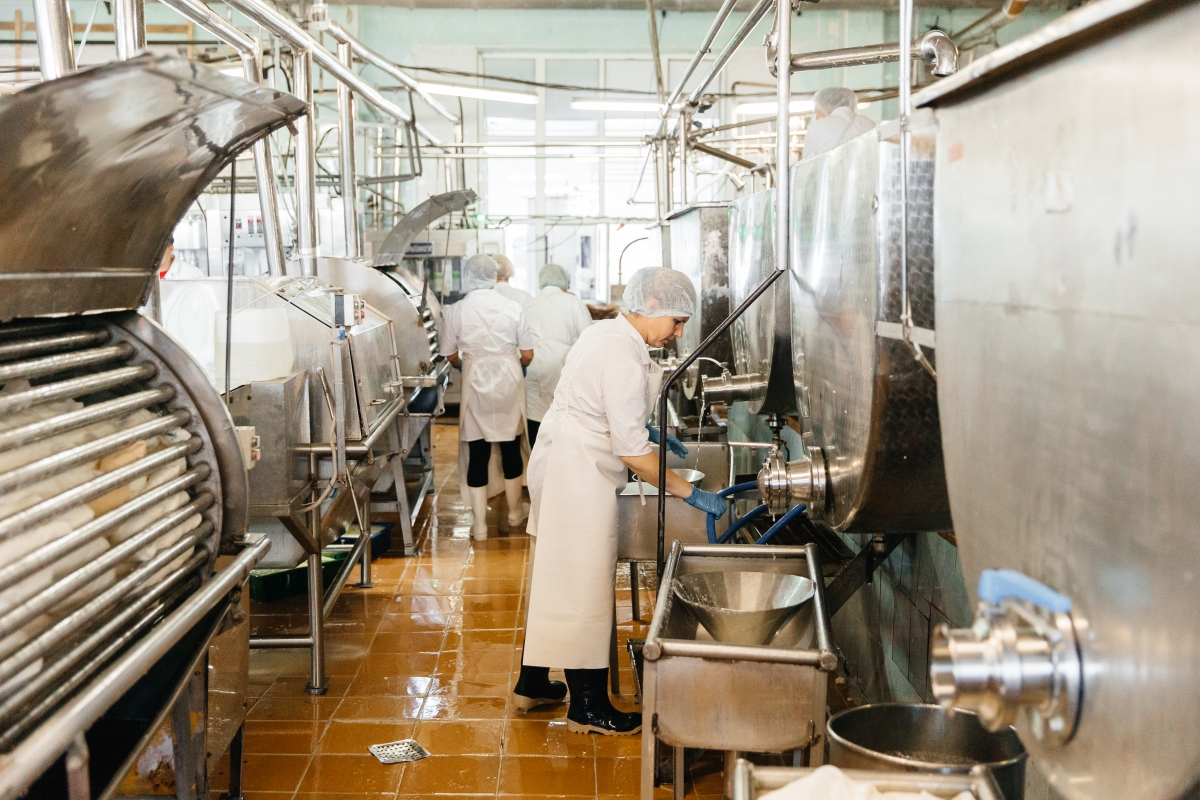 Долг Олонецкого молочного комбината перед совхозами Карелии продолжает расти