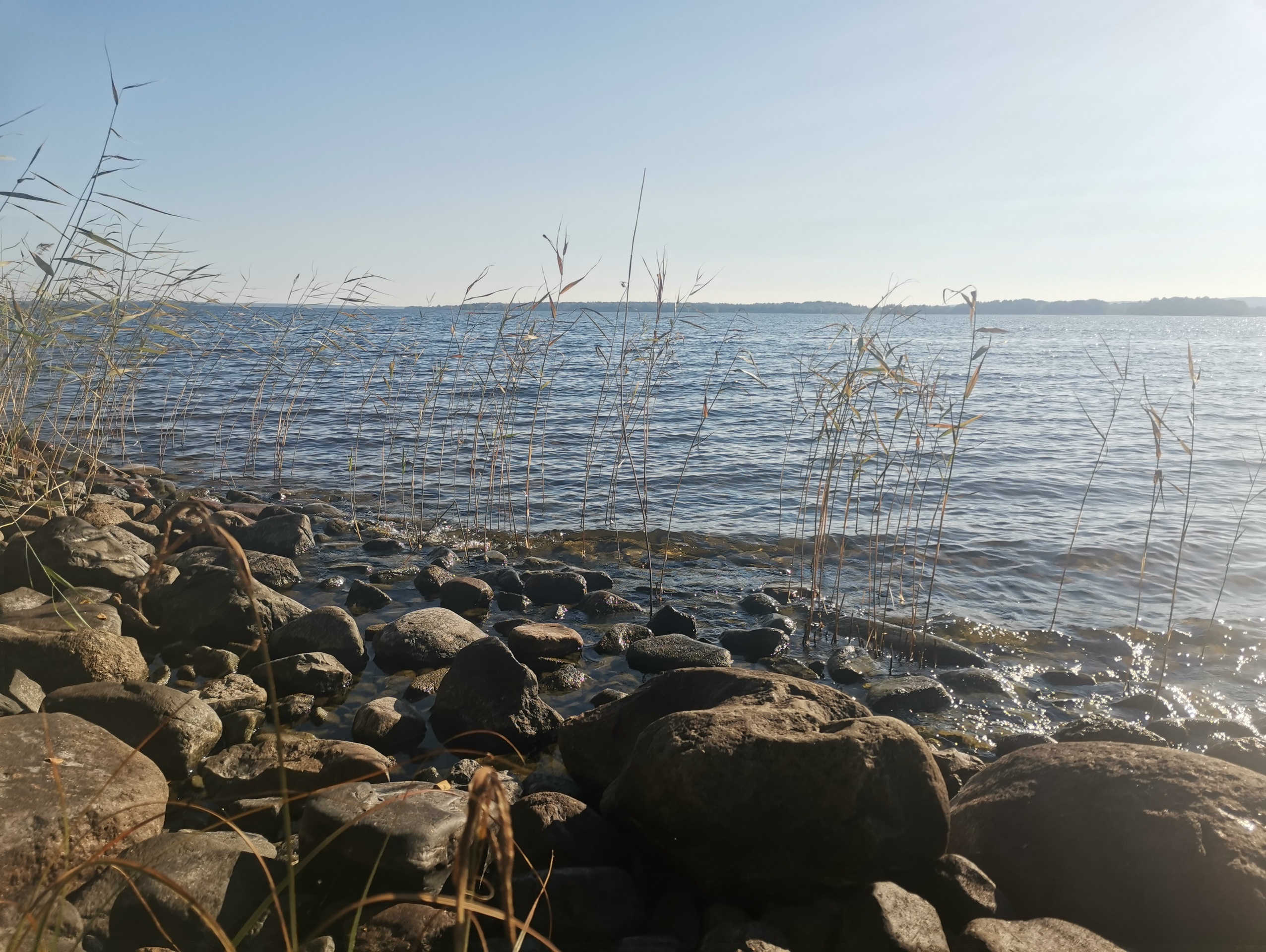 В Кемском округе стартовал опрос об экологии