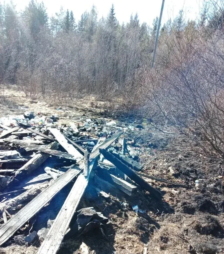 Сухая трава могла уничтожить дом, помешали пожарные