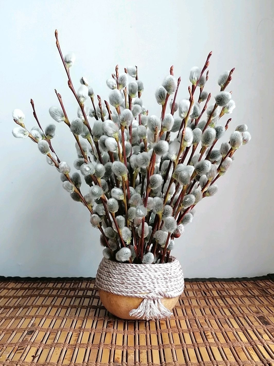 Освятить не ветку, а душу: смысл Вербного воскресенья