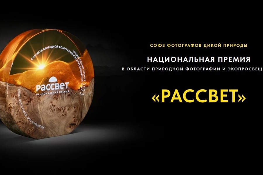 Фотоальбом о парках «Водлозерский» и «Воттоваара» получил национальную премию