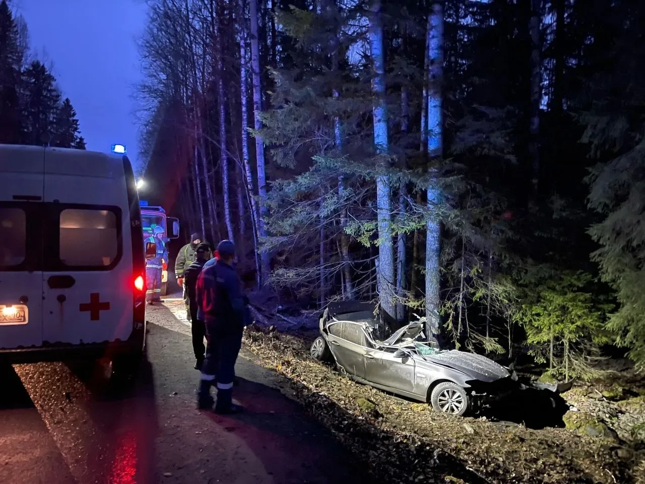 Пожарные извлекали погибших из автомобиля, попавшего в ДТП в Медвежьегорском округе
