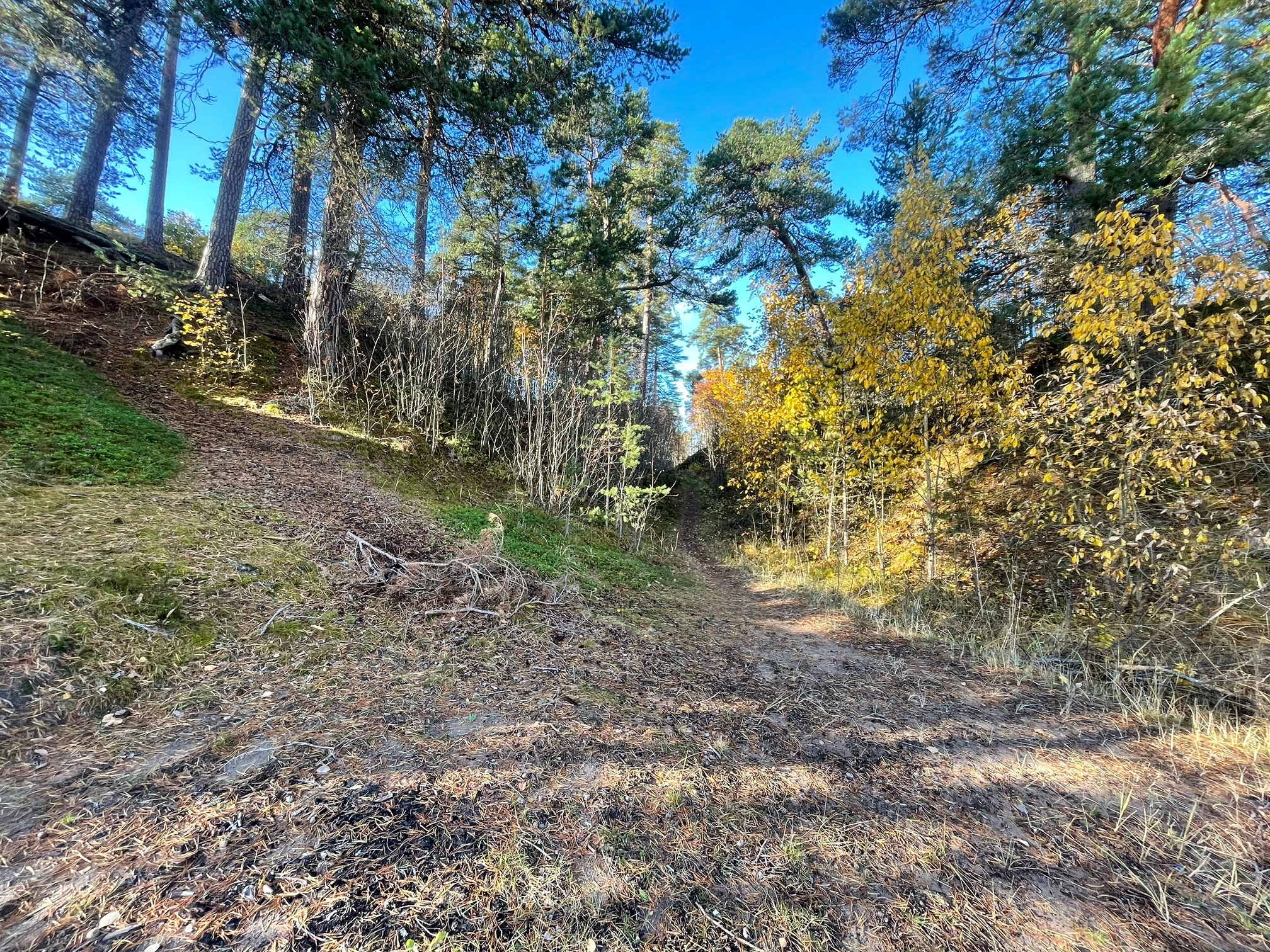 Жители Видлицы отстояли доступ к реке