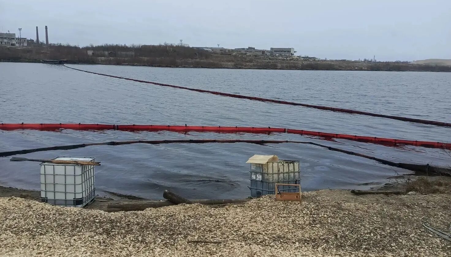 Лаборатория Сегежского ЦБК не выявила следов таллового масла за пределами боновых заграждений в заливе Выгозера