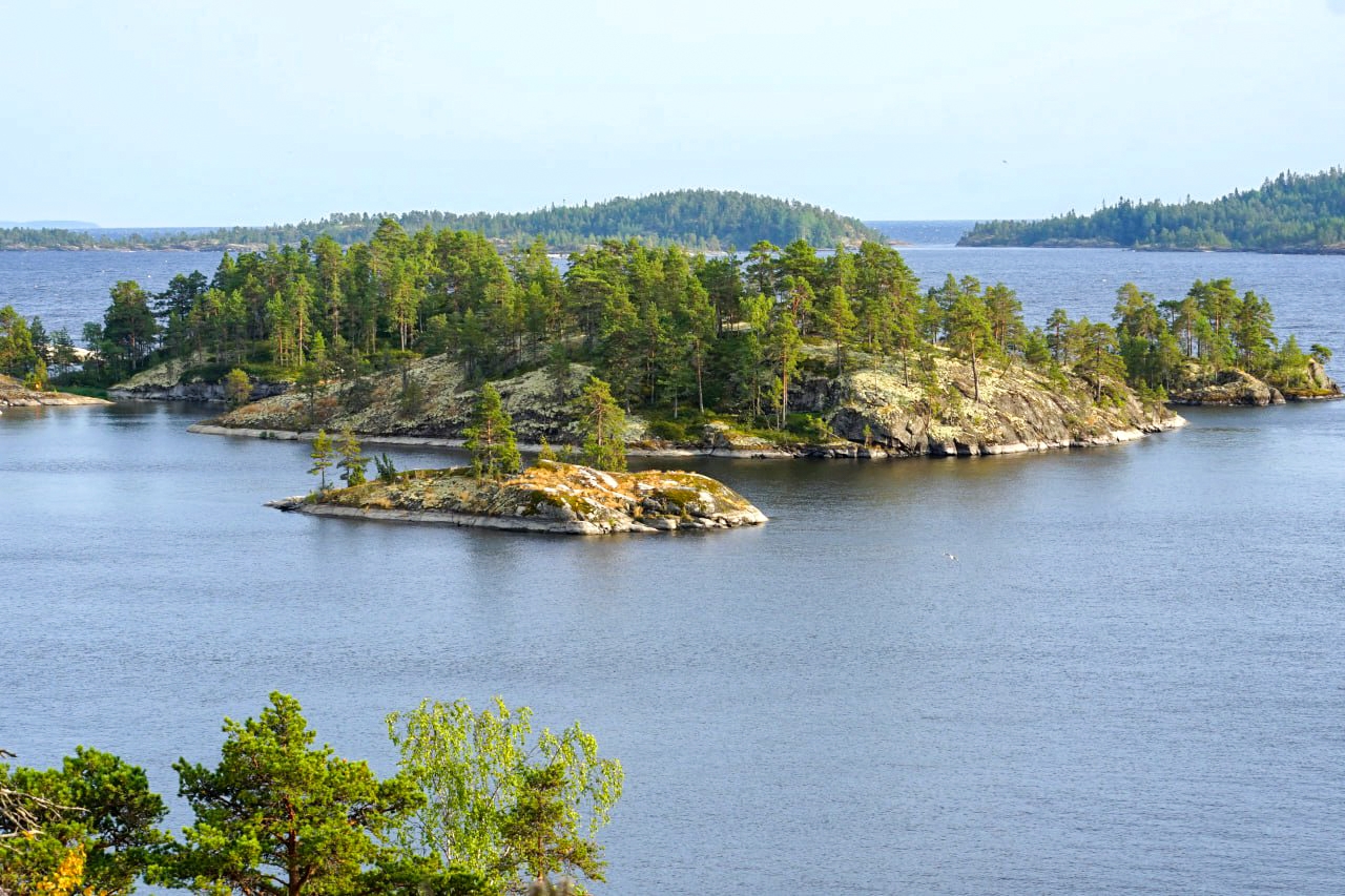 Треть сосновых лесов на островах Ладоги пострадали от пожаров по вине человека