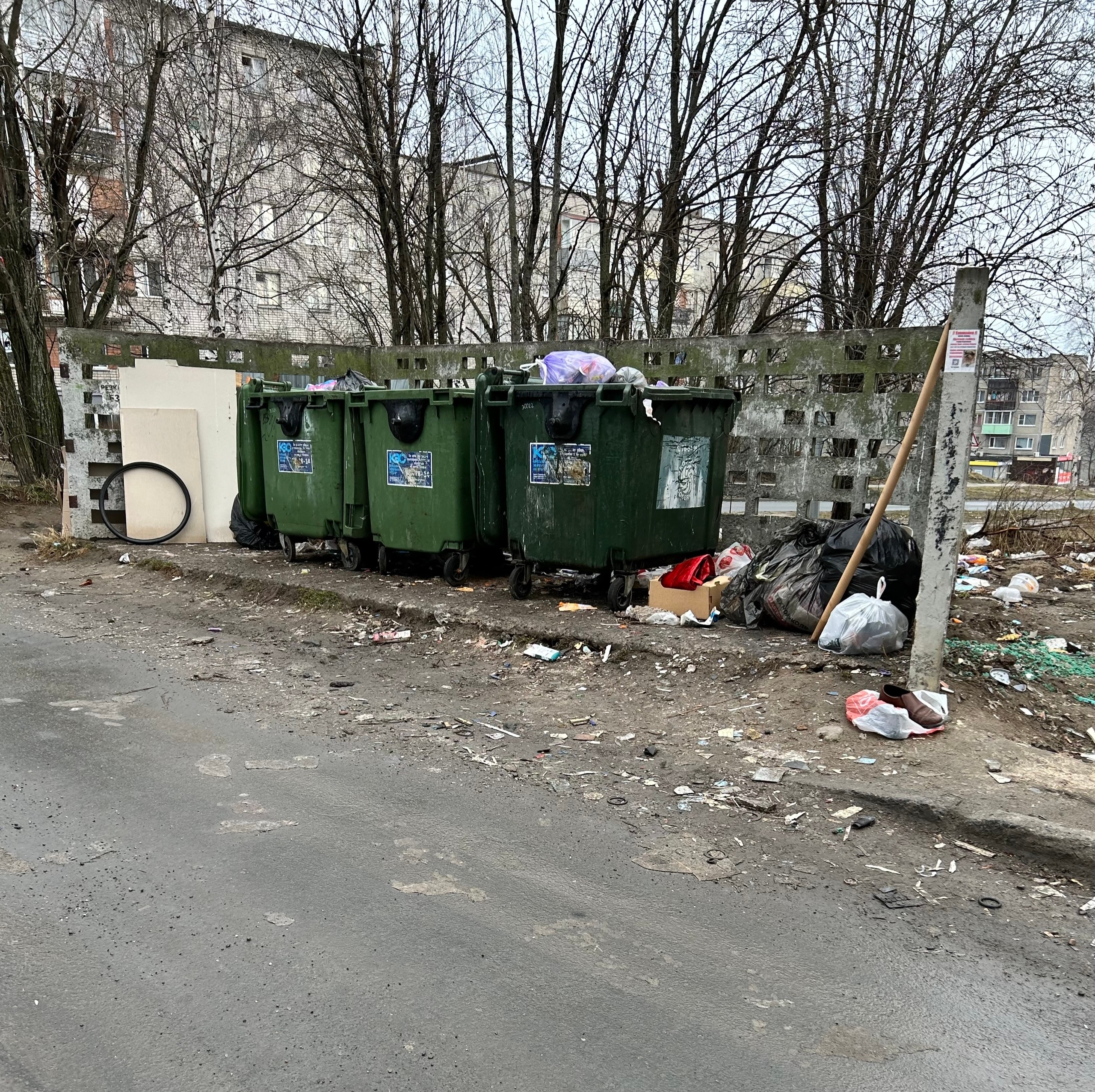 Кемский сквер превратился в помойку: крысы, мусор и полная антисанитария