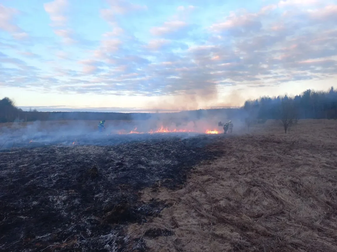 Огнеборцы остановили пожар, распространявшийся в сторону Пудожа