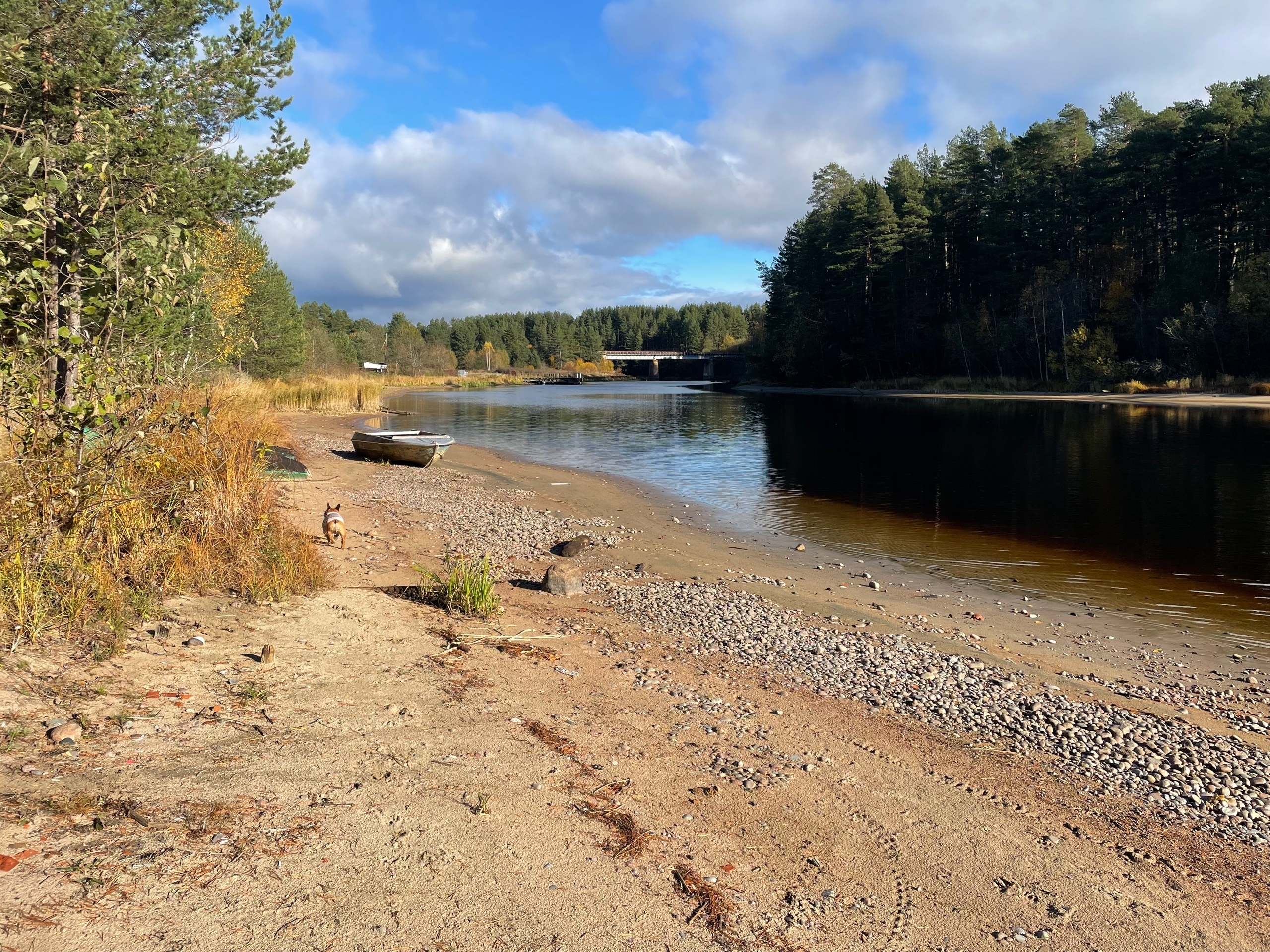 В Видлице сохранят доступ к пляжу