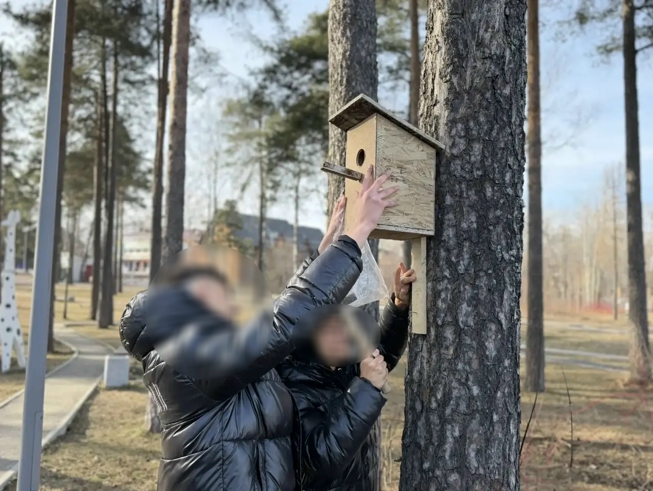 Несовершеннолетние правонарушители в Сегеже развесили скворечники для птиц