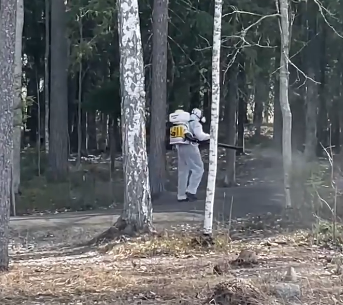 Парки в Петрозаводске начали обрабатывать от клещей