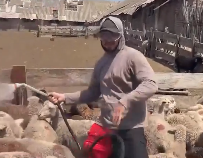 Новый тренд в России: молодые парни бросают офисную работу и уходят в фермерство