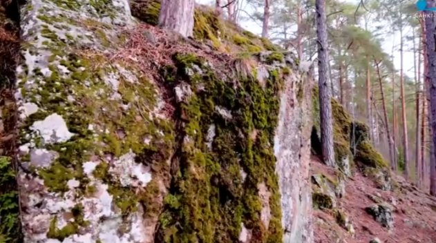 Карельский мрамор идеально подошел для реставрации Исаакиевского собора