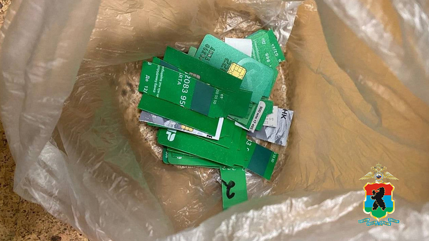 Полиция пресекла преступную банковскую деятельность в Карелии