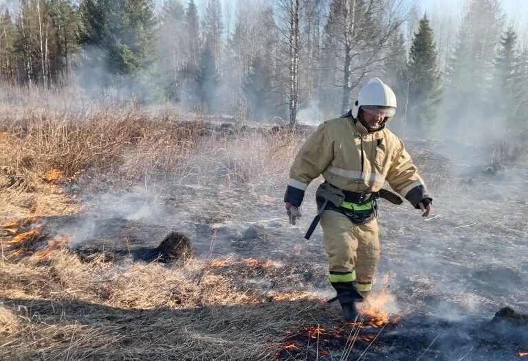 Пожар бушевал на огромной территории рядом с поселком в Карелии