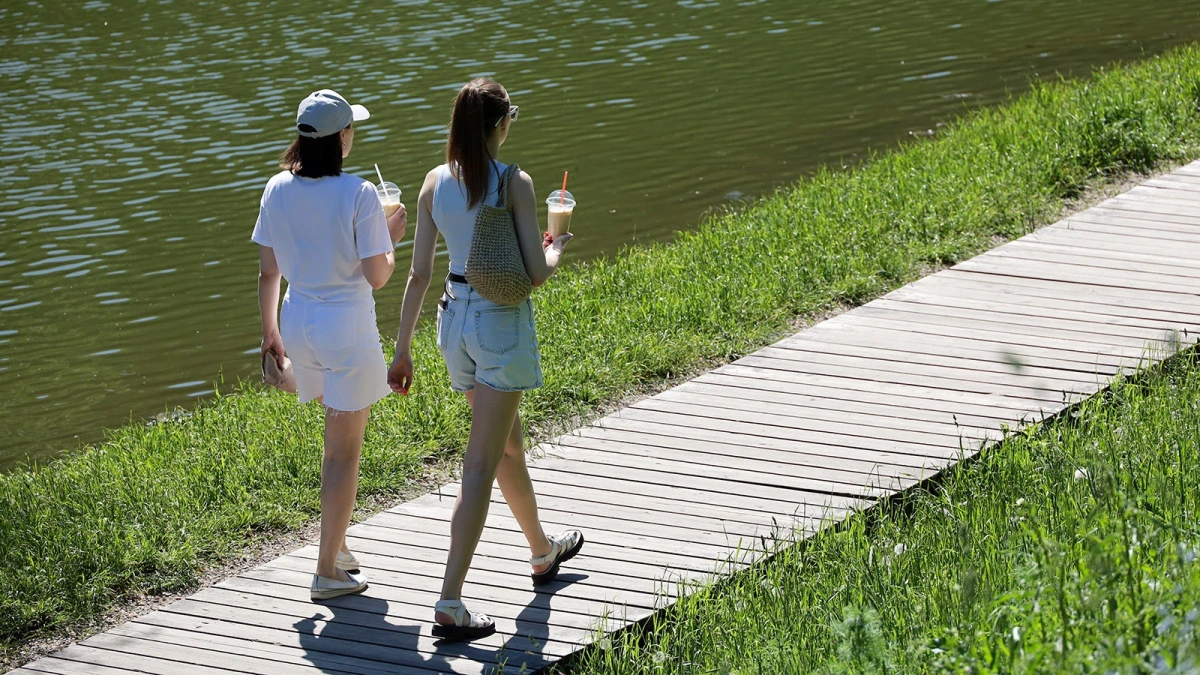 О тенденциях погоды на лето рассказали синоптики России