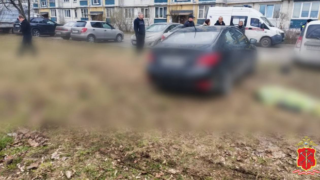 Водитель насмерть сбил свою жену рядом с Карелией