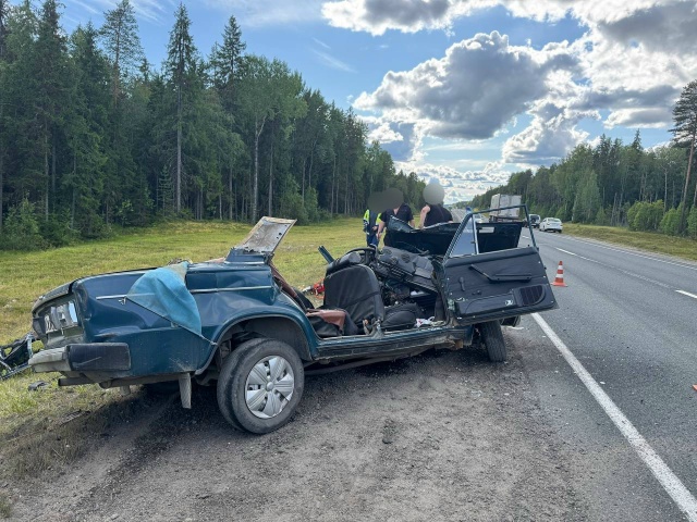 Под суд пойдет женщина-водитель, устроившая смертельную аварию в Пряжинском районе: погибли отец и сын