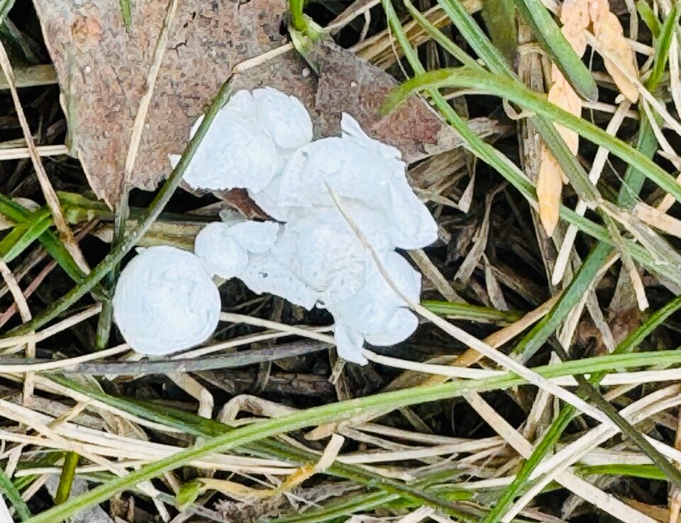 Град выпал в Петрозаводске