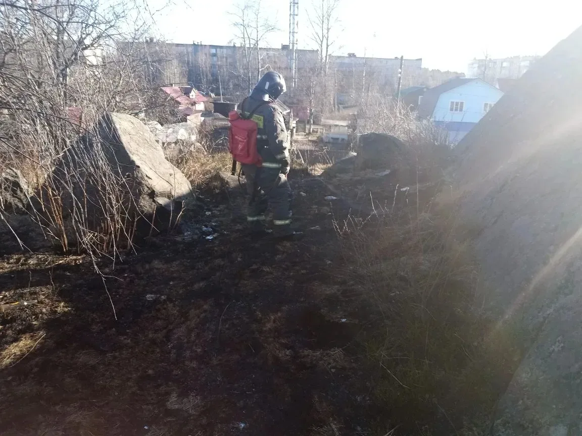 Огнеборцы не дали распространится пожару в Кеми