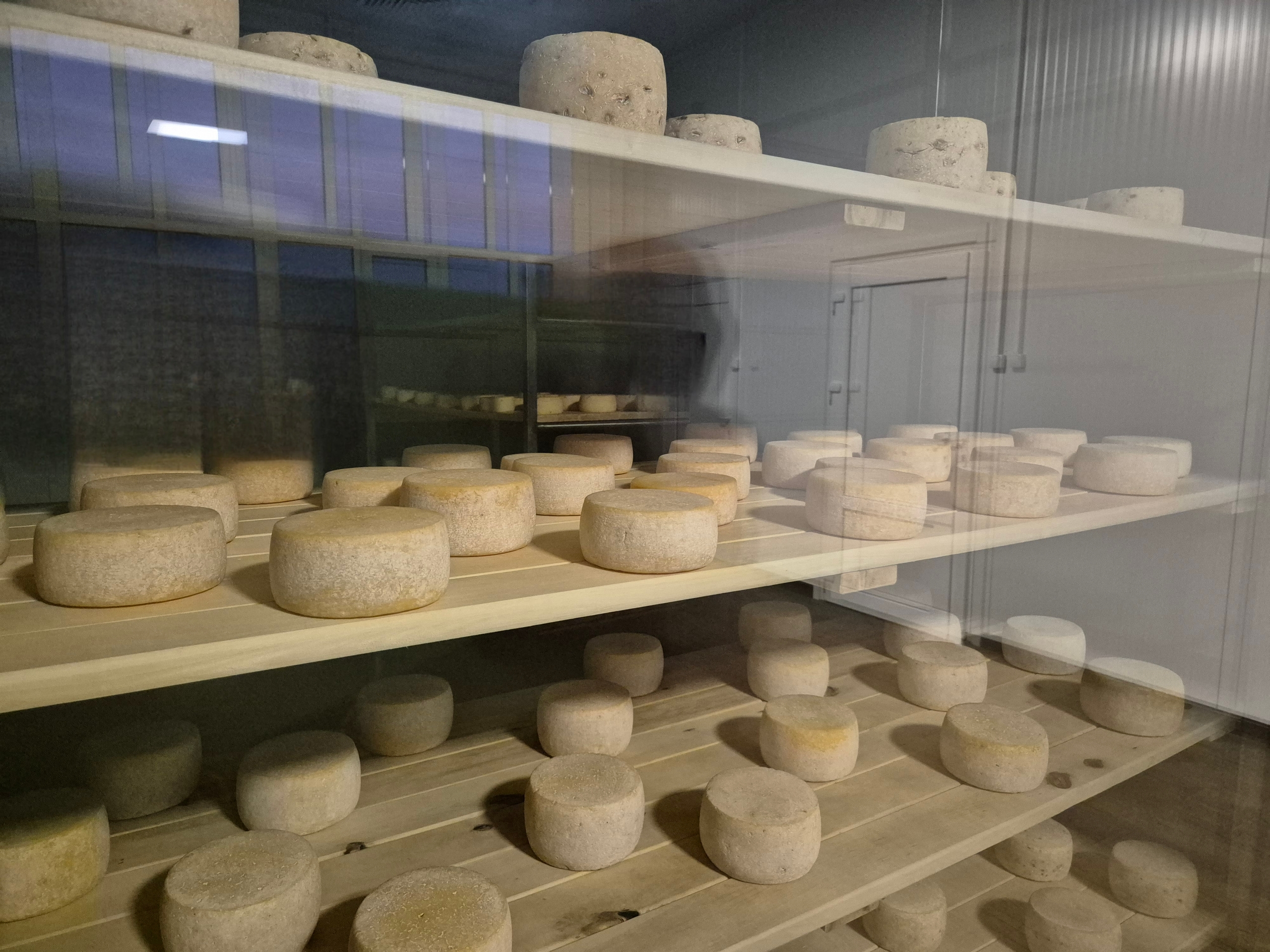 В Питкярантском районе построен агрокомплекс с сыроварней и дегустационным залом