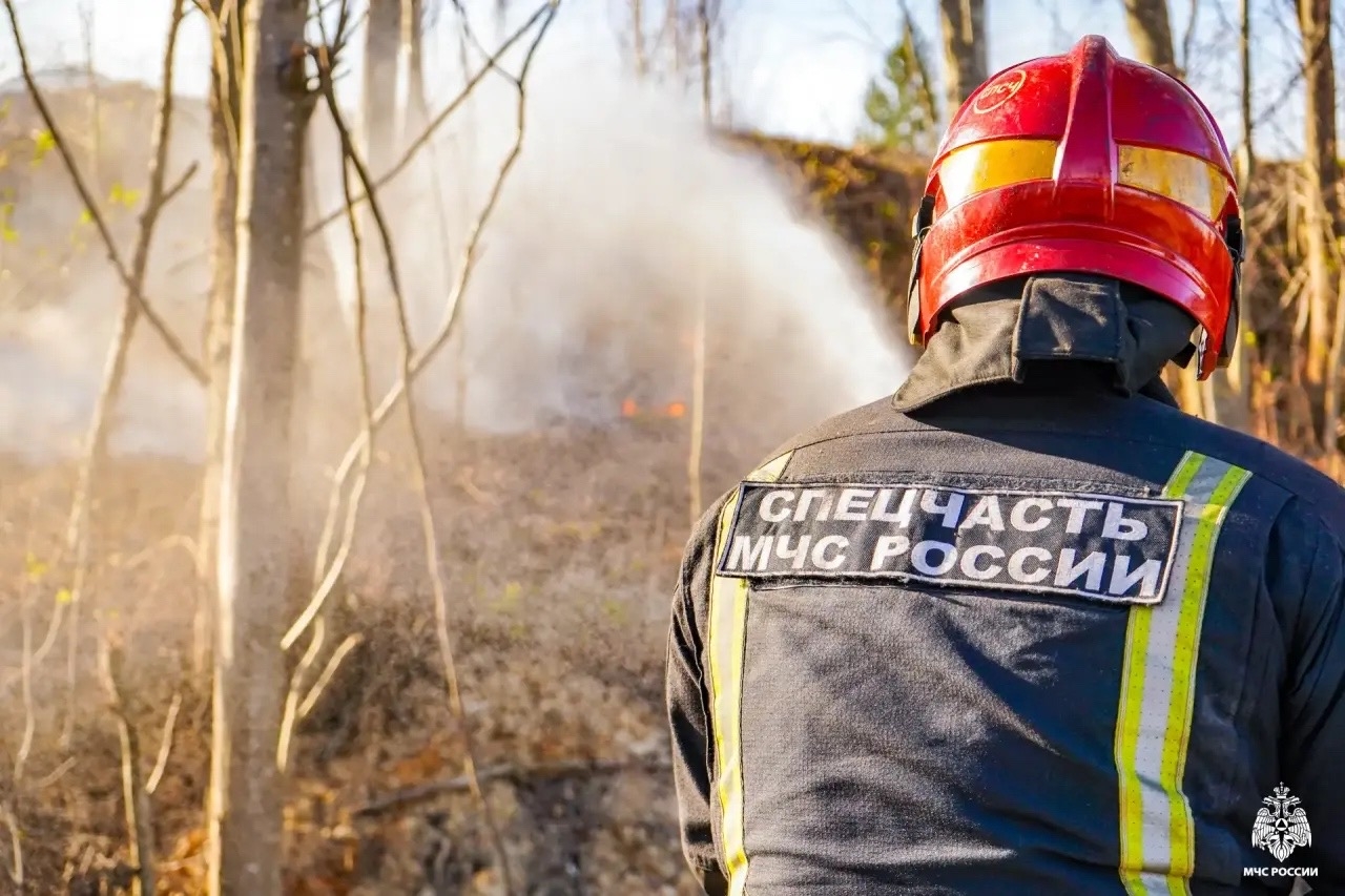 В Петрозаводске ввели особый противопожарный режим