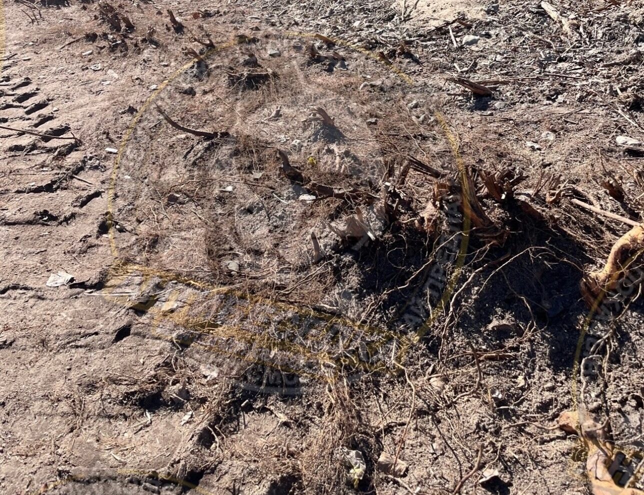 Подрядчик уничтожил плодородный слой и кустарники в Костомукше