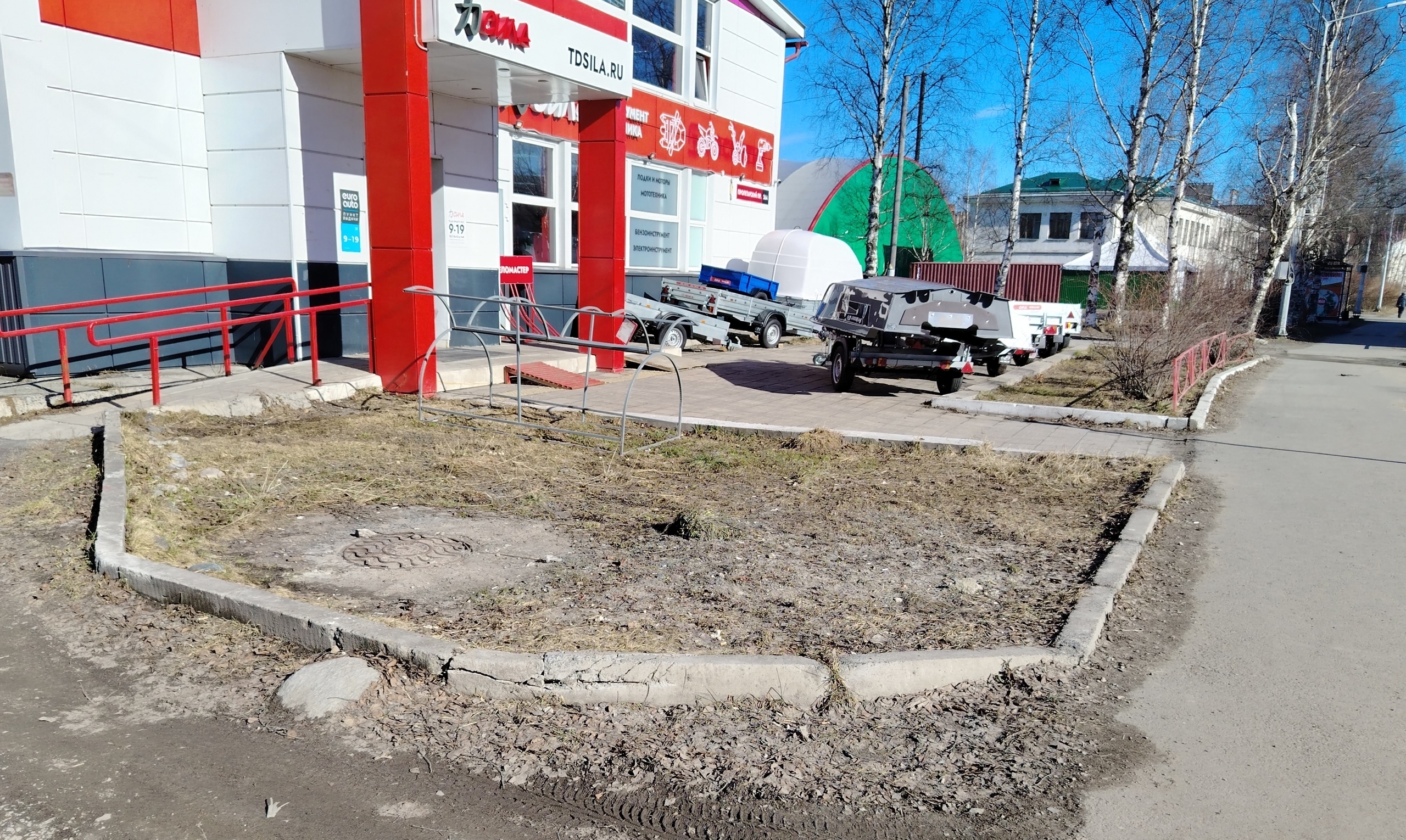 Кемляне возмутились уничтожению посаженных ими кустов в городе