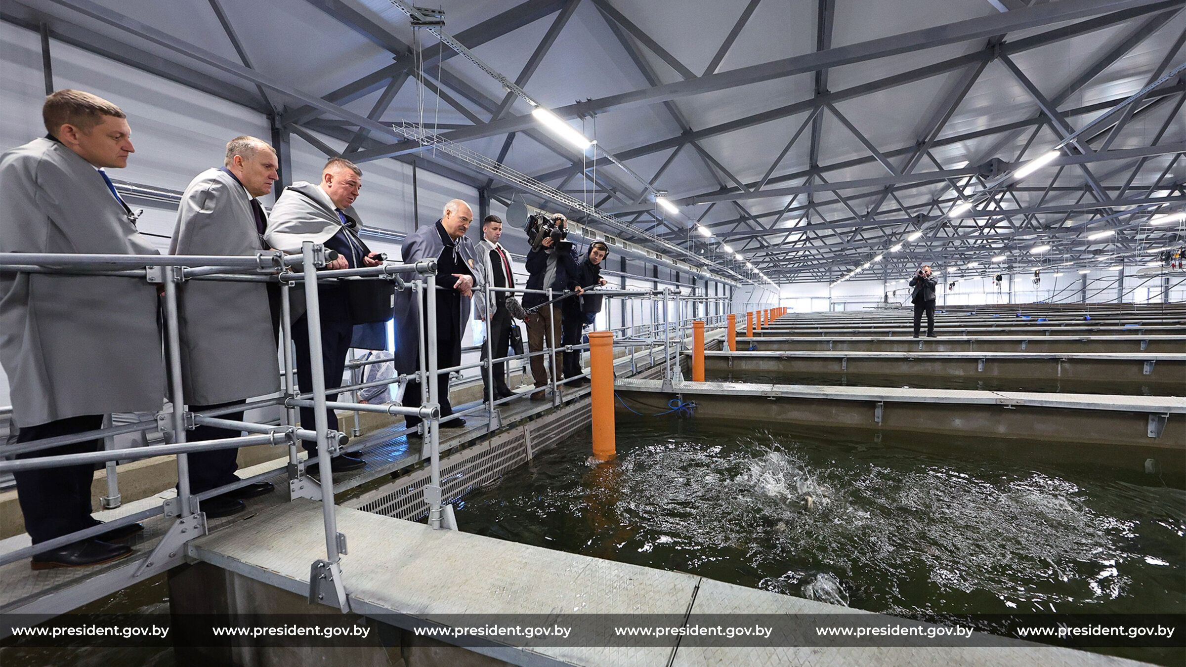 Лукашенко похвалил карельский опыт выращивания рыбы в садках