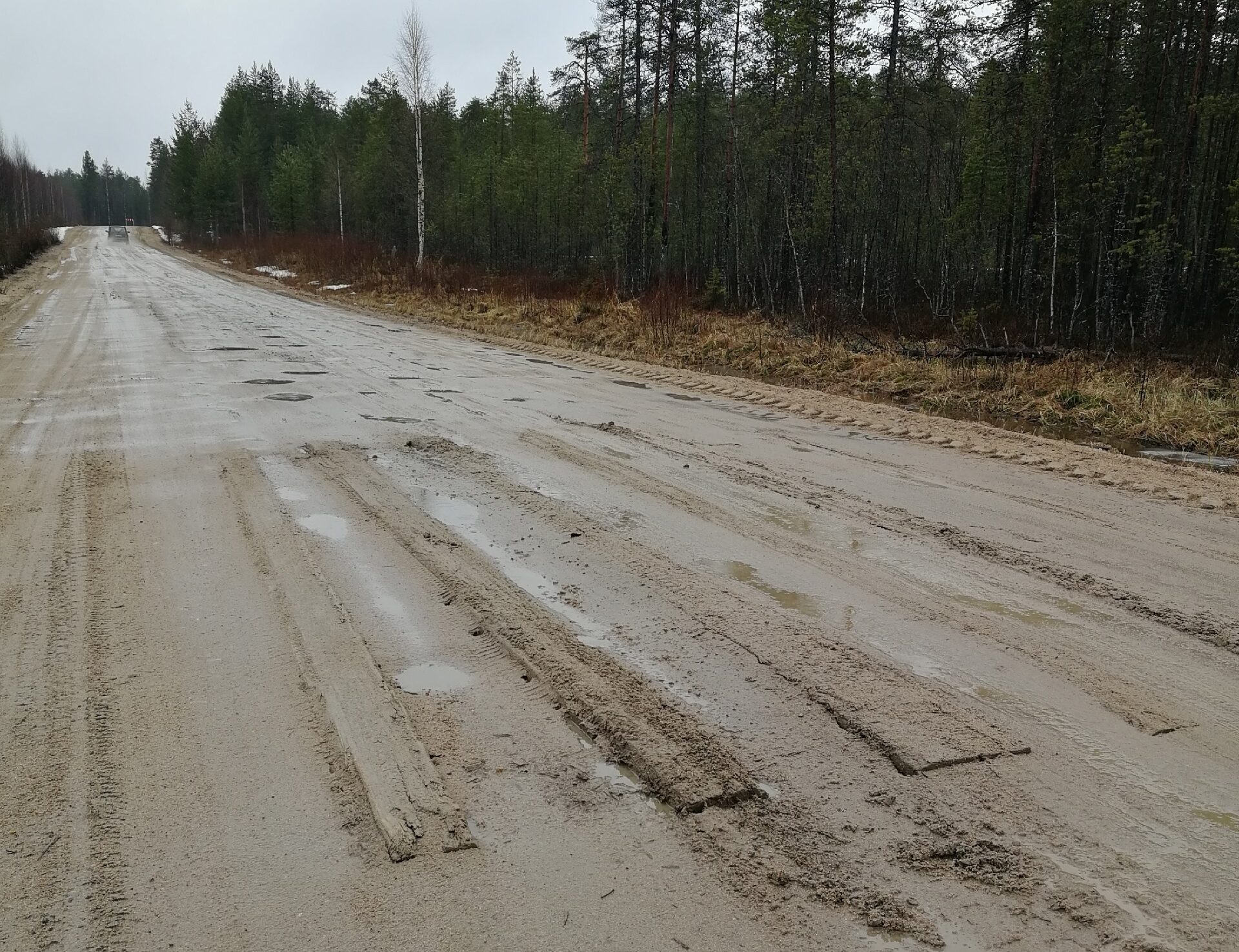 «Скакать по камням»: большегрузы продолжают ездить по дороге в Муезерском округе, несмотря на за запрет