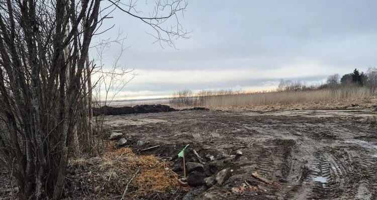 Береговую линию Логмозера загрязнили бытовыми отходами и мусором