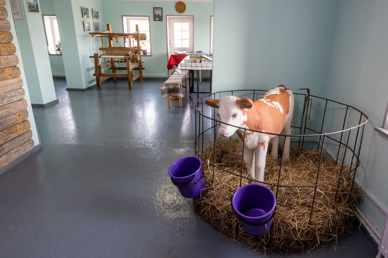 В Олонецком районе открылся «Музей коровы»