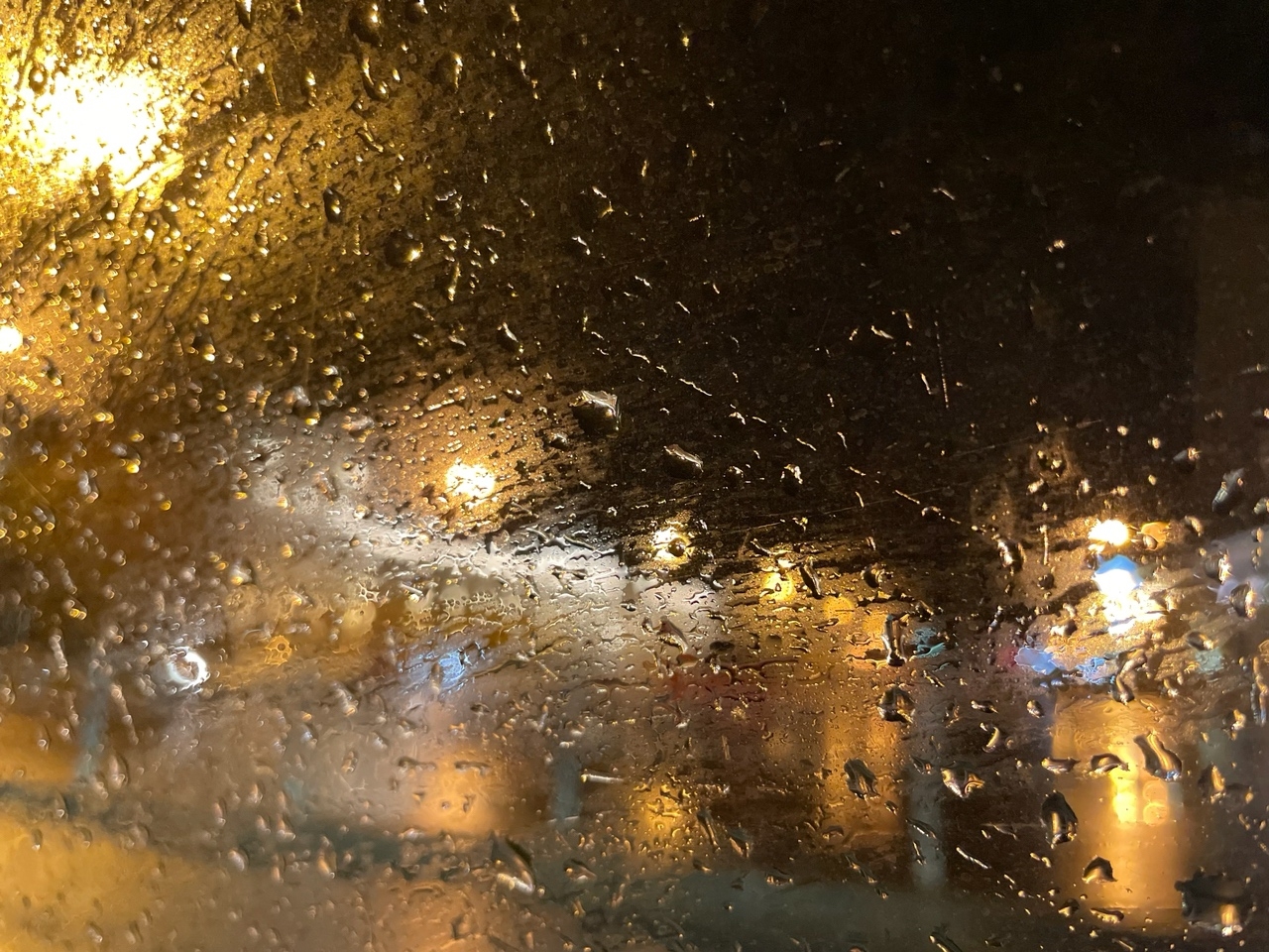 МЧС предупредило об усилении ветра в Карелии