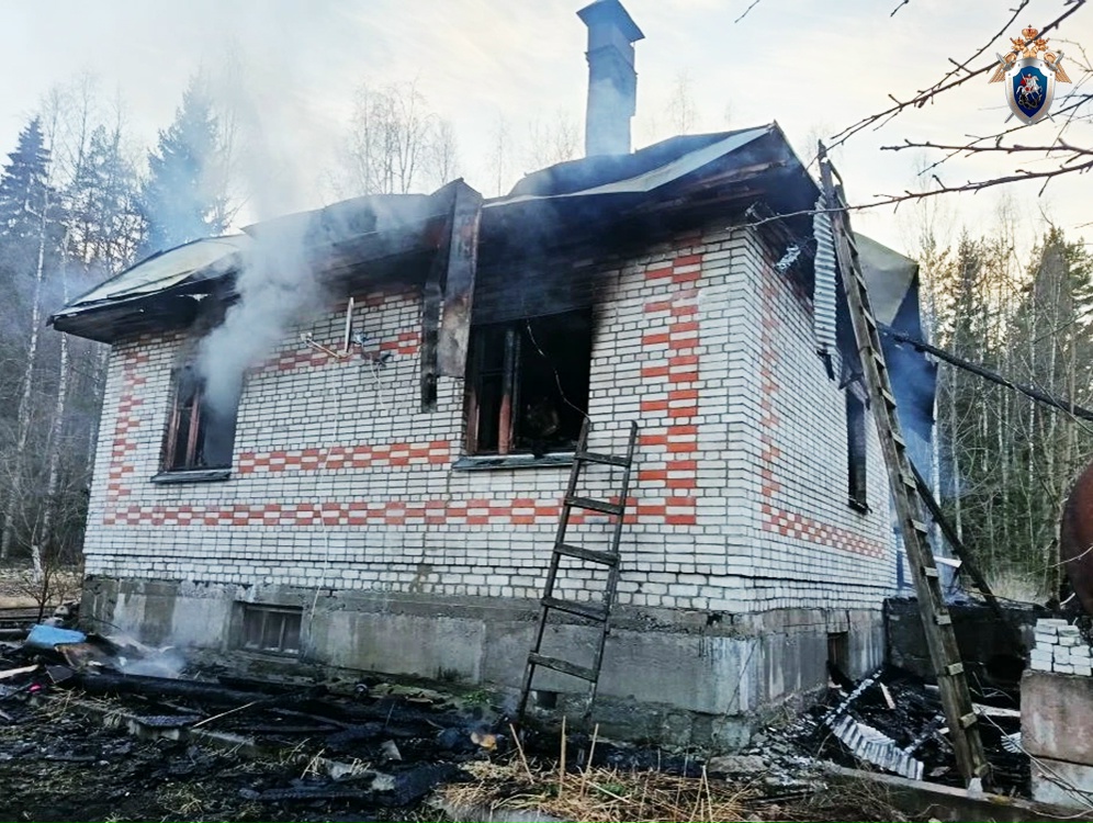 Следователи выясняют причины пожара и гибели женщины в Лахденпохском округе