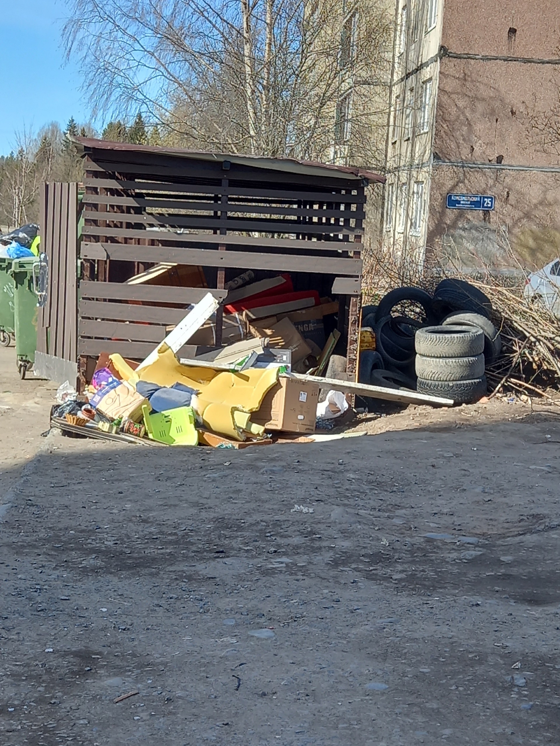Житель Кукковки пожаловался на неубранный мусор и листву