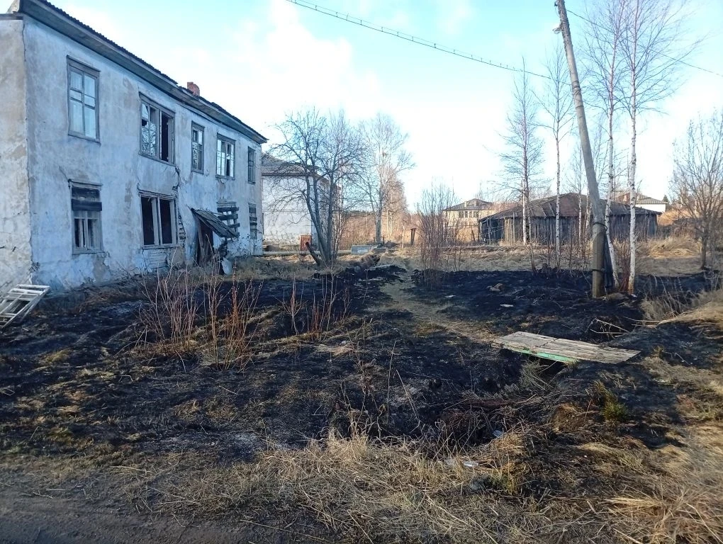 Возгорание сухой травы в поселке Карелии пожарные тушили час из-за сильного ветра