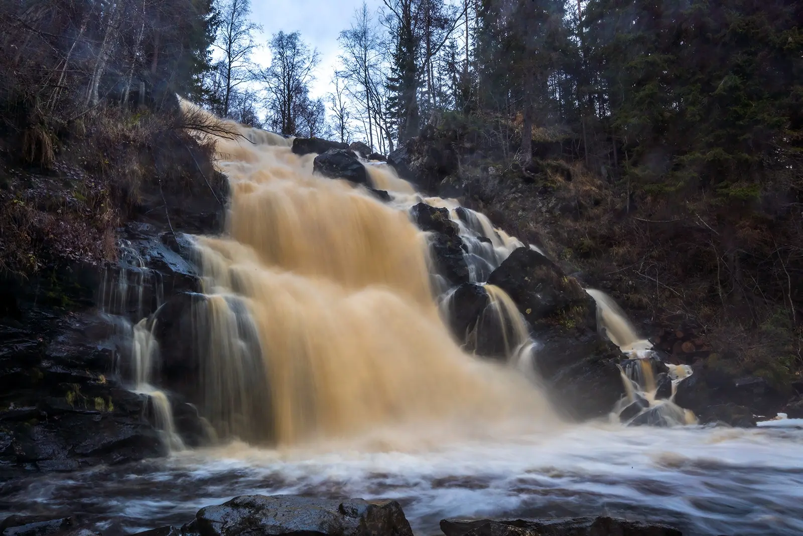 Максимальные температуры составят +13℃, +18℃: о погоде на эту неделю рассказали синоптики Карелии