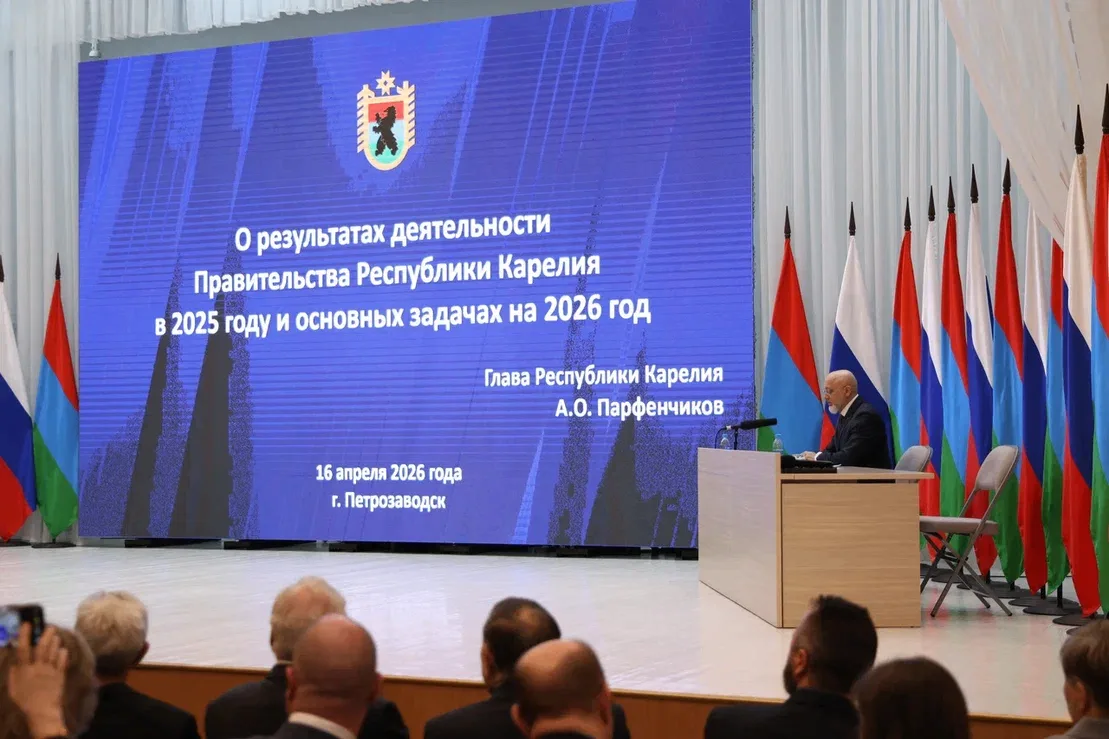 Элиссан Шандалович прокомментировал отчет Главы Карелии