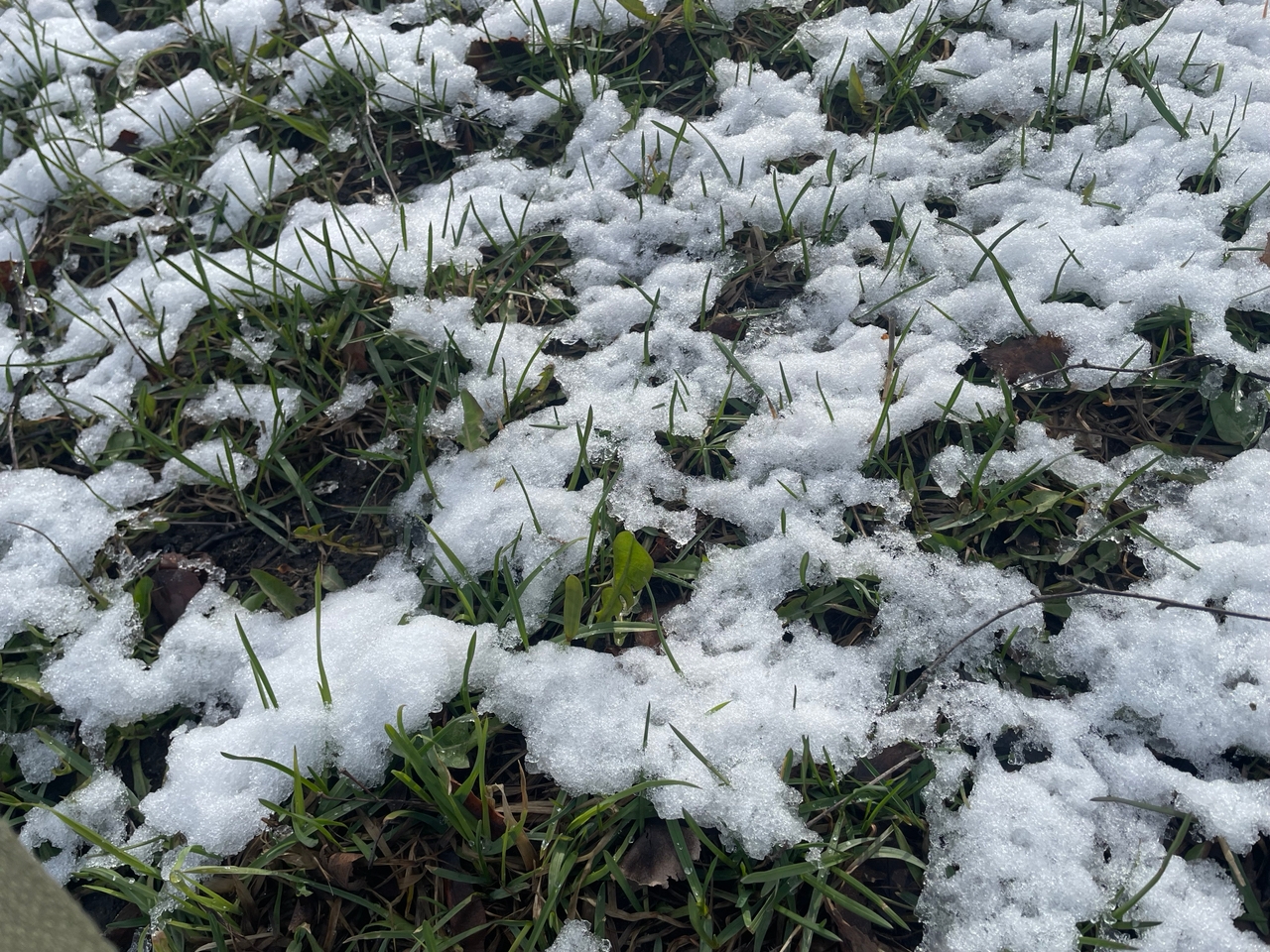 Легкомысленный апрель в среду насыплет немного снега в Карелии