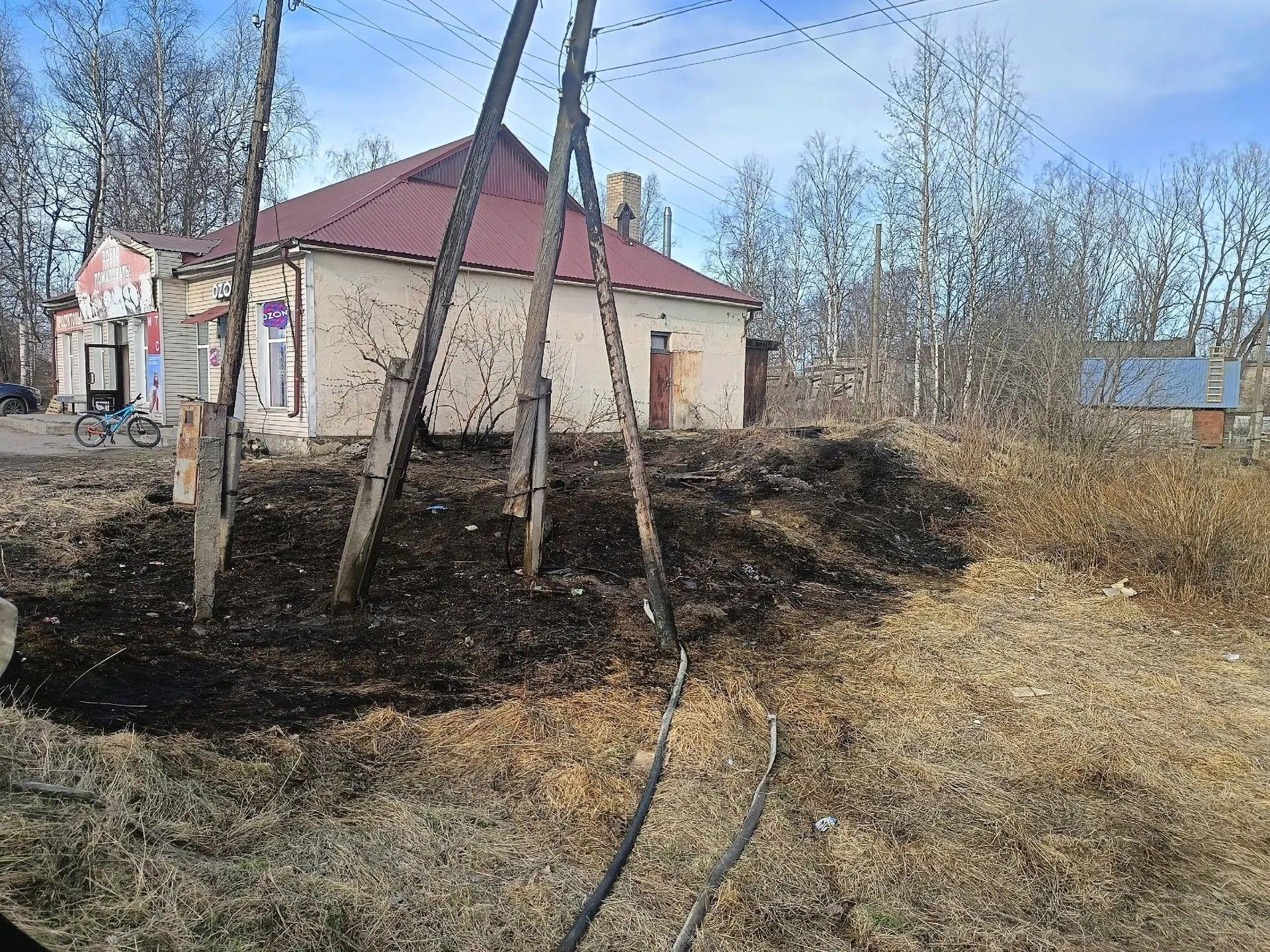 Загоревшаяся трава едва не обесточила посёлок в Прионежье