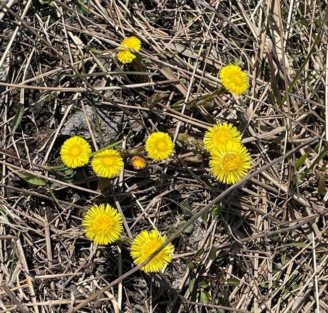 В планах у карельской погоды на среду от -7°С +18 °С и без осадков
