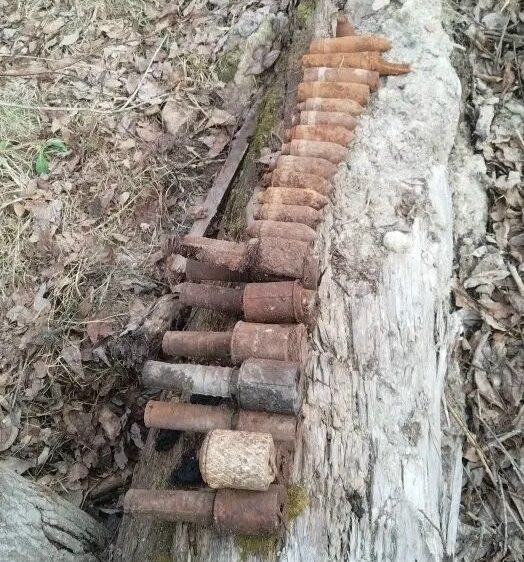 В одном из районов Карелии в лесу нашли 26 снарядов времён Великой Отечественной войны