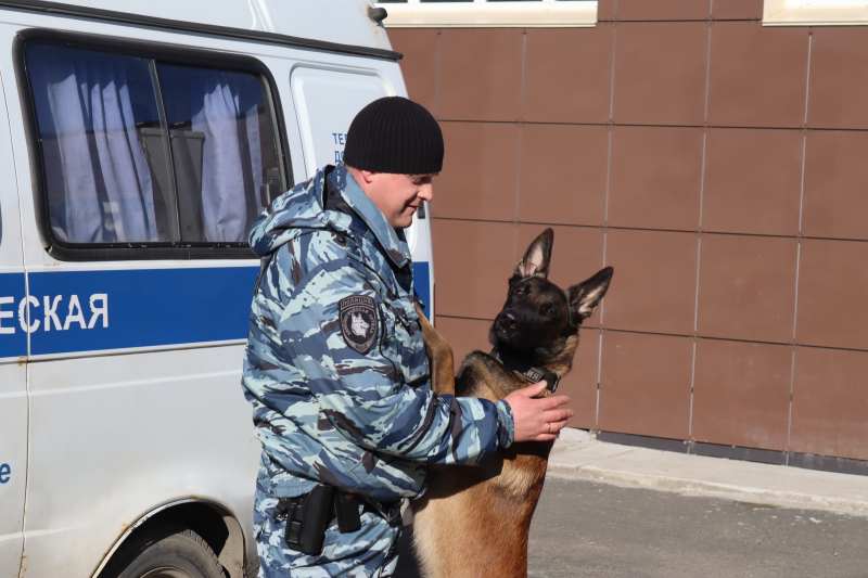 Полицейский пёс взял след грабителя, который ударил продавца в одном из магазинов Петрозаводска