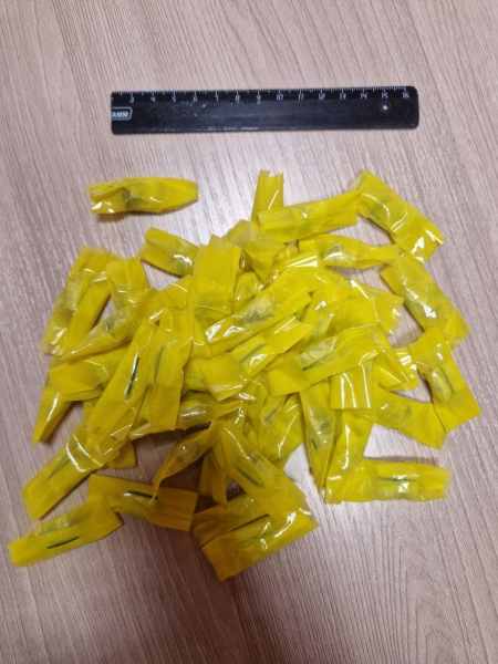 Наркокурьера задержали в Петрозаводске