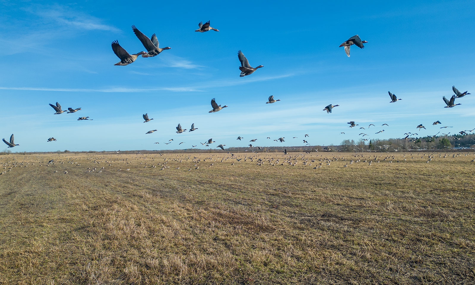 Синоптики рассказали о погоде в Карелии на воскресенье